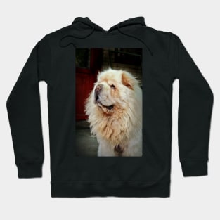 Tibetan Mastiff Hoodie